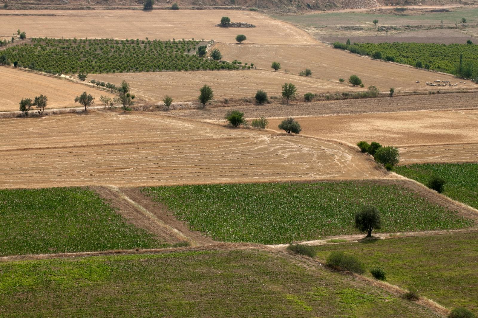 Land